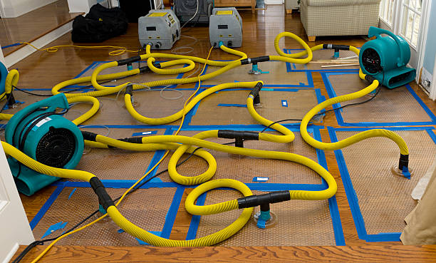 Professional Sewage Cleanup technician working in Pioneer, OH